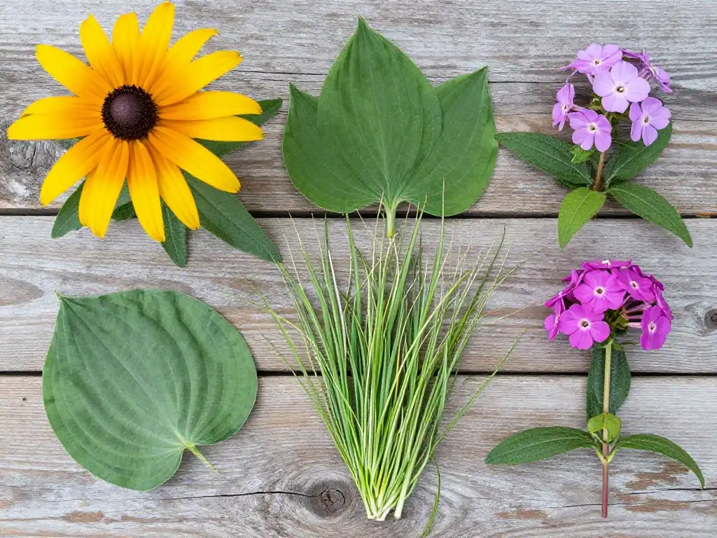 03 — Best Plants to Grow Around a Backyard Shed Without Killing Your Weekends