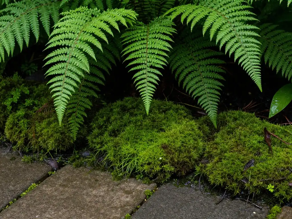 Moss, Ferns, and Ground Cover Plants That Add Depth to Any Cottagecore Garden