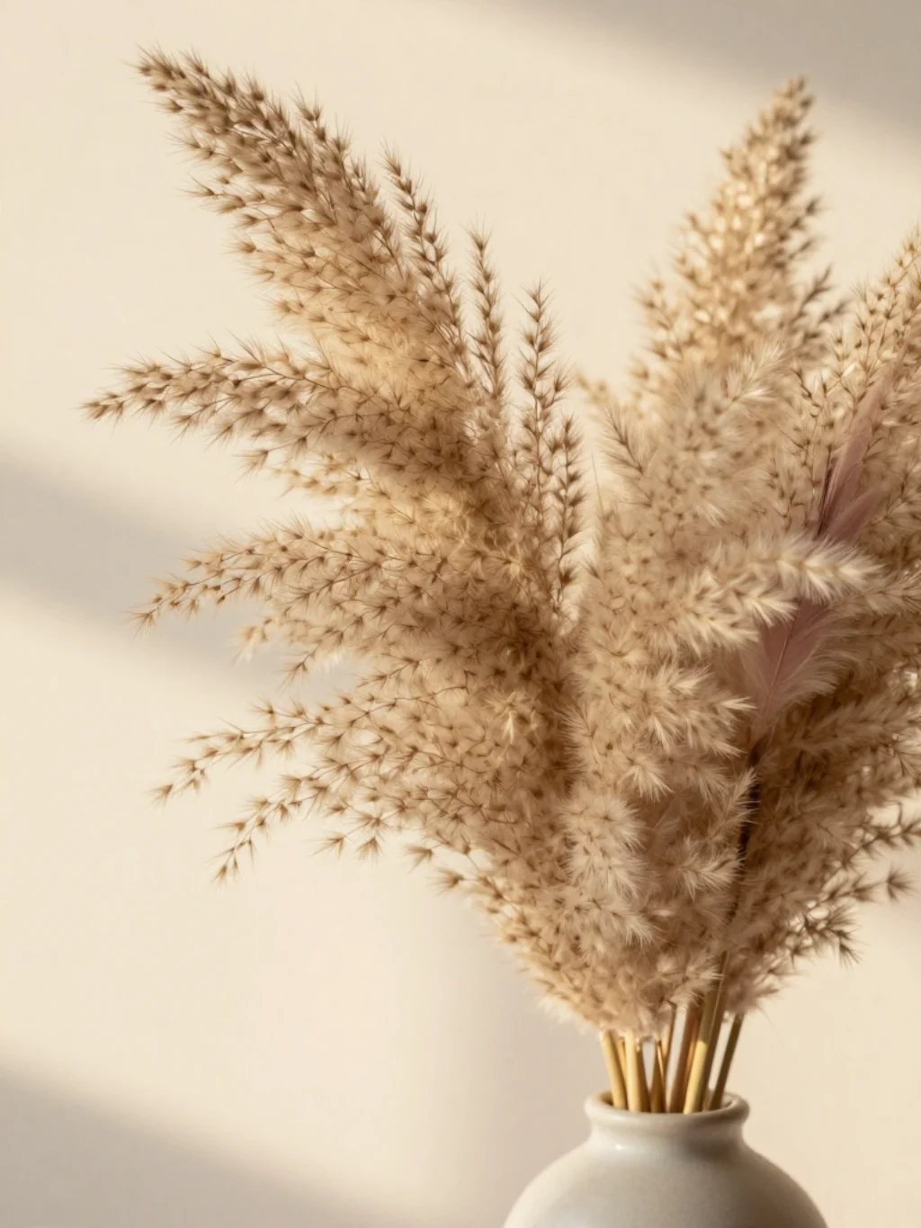 Pampas Grass Feathers and Dried Flowers That Age Beautifully at Your Desk