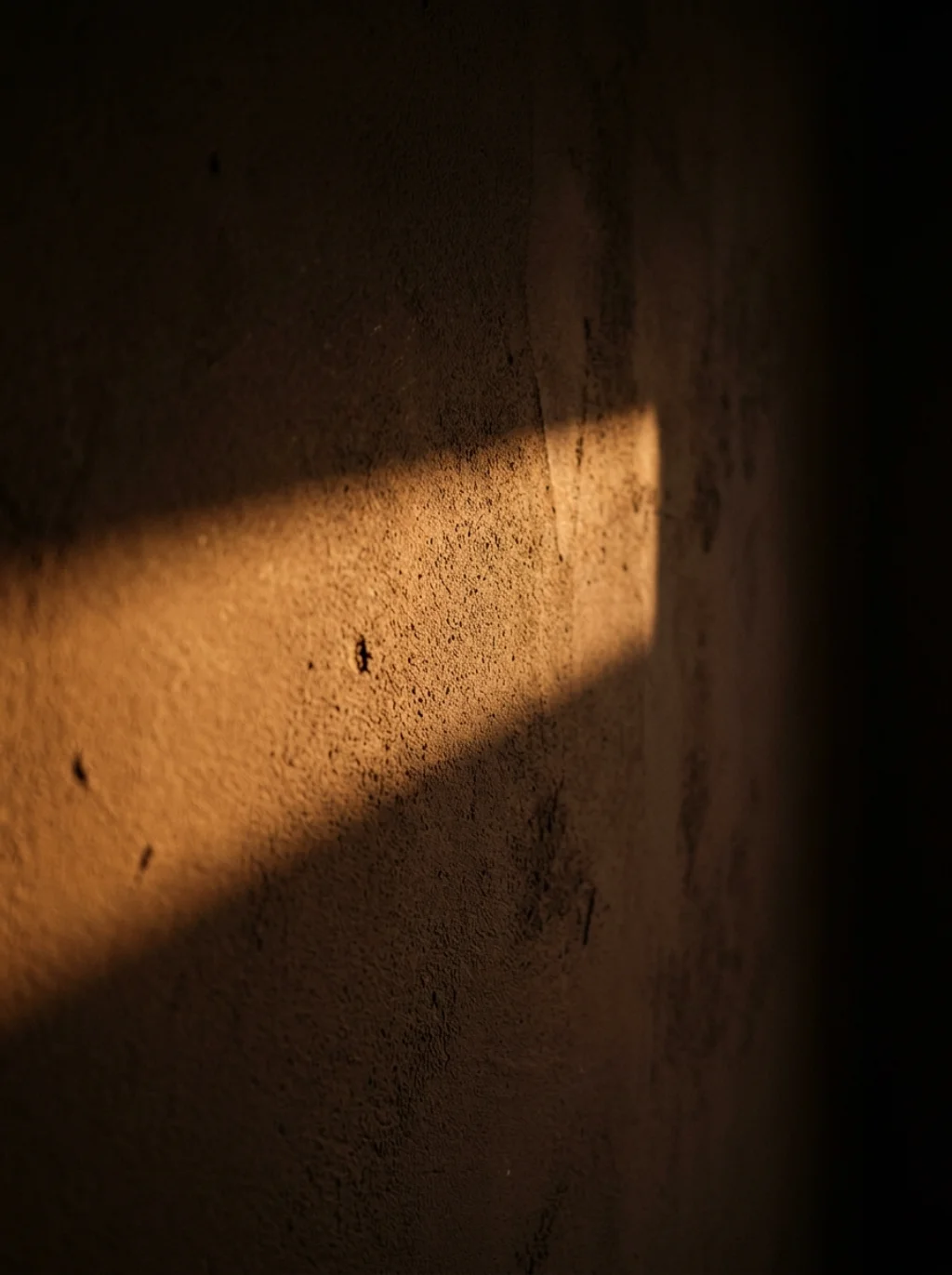 Chocolate Walls Wrapped in Shadow Create a Cocoon Worth Sinking Into